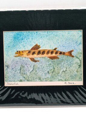 Original Watercolor Painting Signed Artwork Snakefish M Steele Matted 8x10